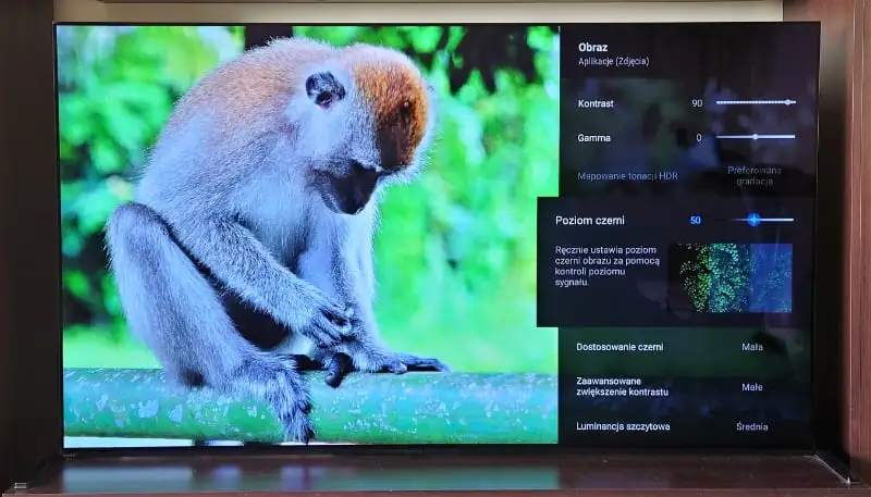 Sony OLED 65” A90J – japoński samuraj kategorii Master