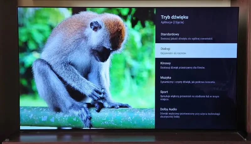Sony OLED 65” A90J – japoński samuraj kategorii Master