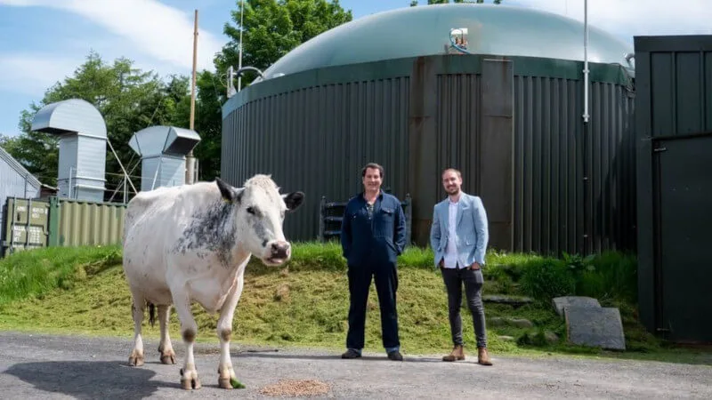 Koparki Ethereum zasilanie krowim obornikiem