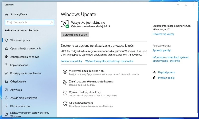 windows update KB5003690