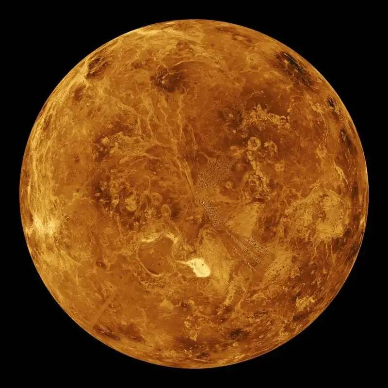 Jeśli na Wenus istnieje życie, nie jest to życie, jakie znamy