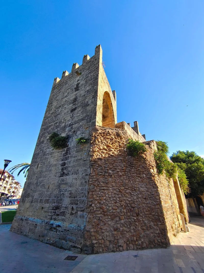 IMG 20210613 180239 mini