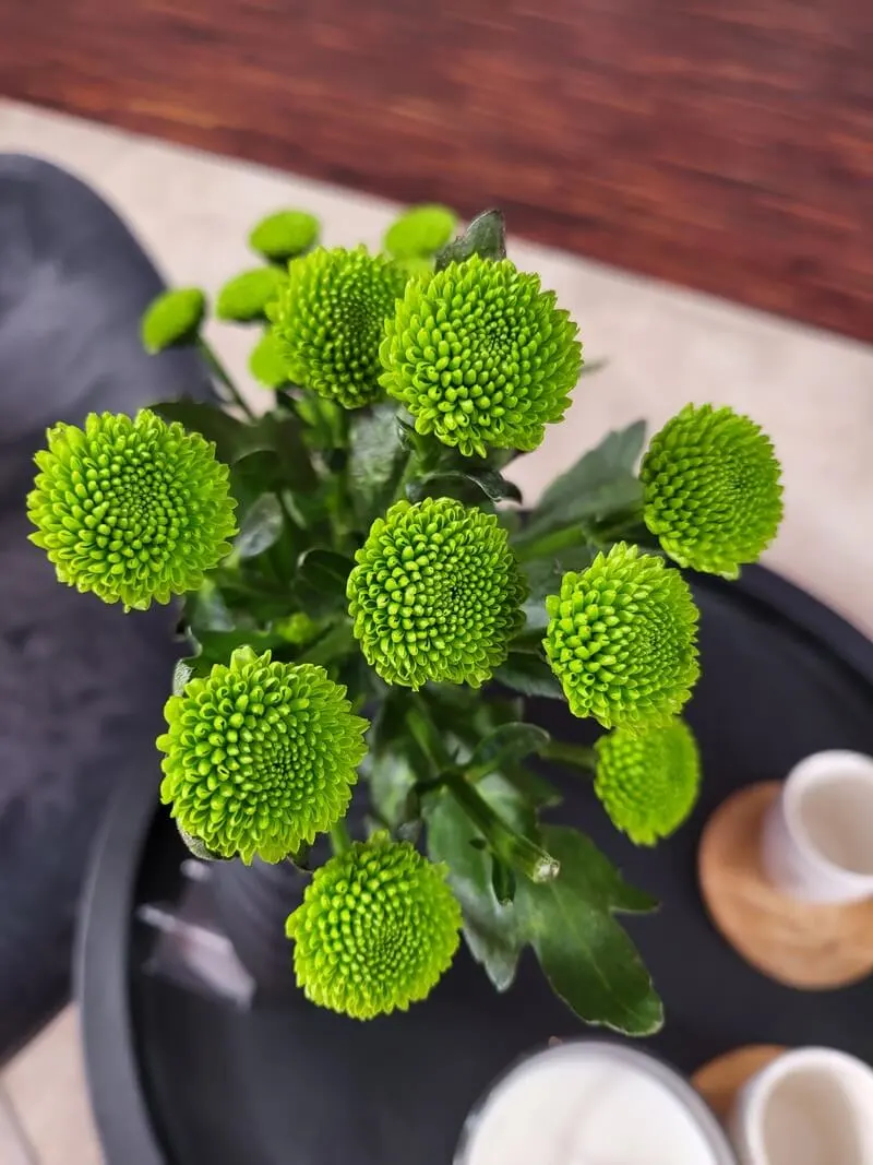 20210810 172641 053055 mini