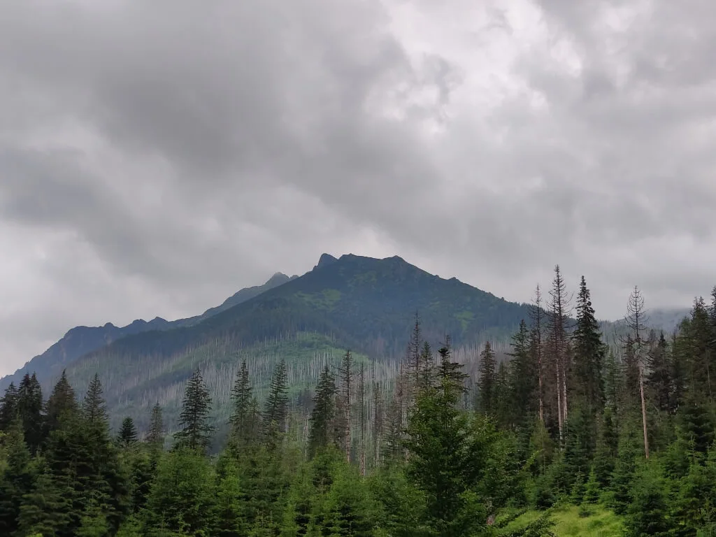 One Plus 9 20210703 134032 rozmiar sredni