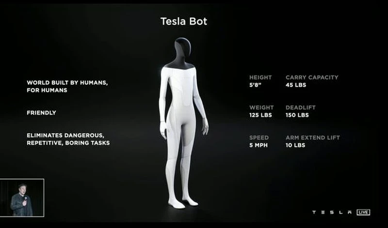 tesla bot 1