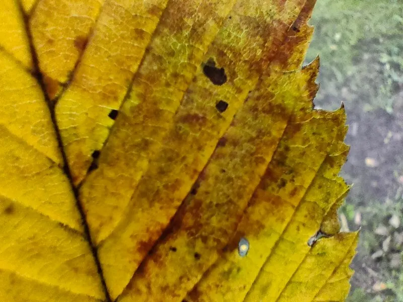 realme GT Master Edition sample foto 28