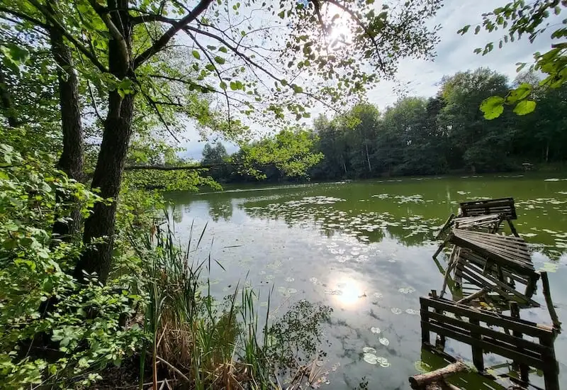 Samsung Galaxy Z Flip3