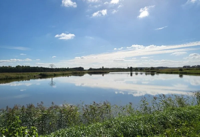 Samsung Galaxy Z Flip3