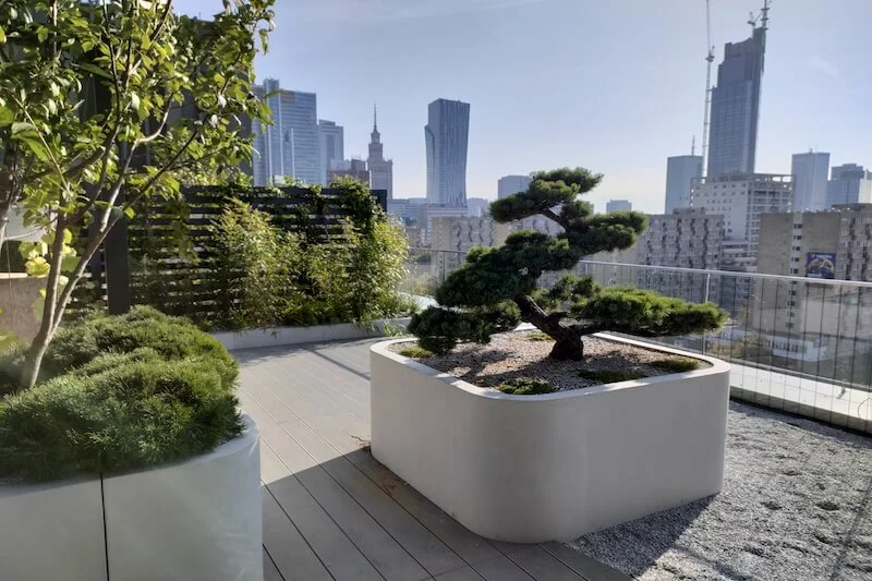 Nubia RedMagic 6S Pro