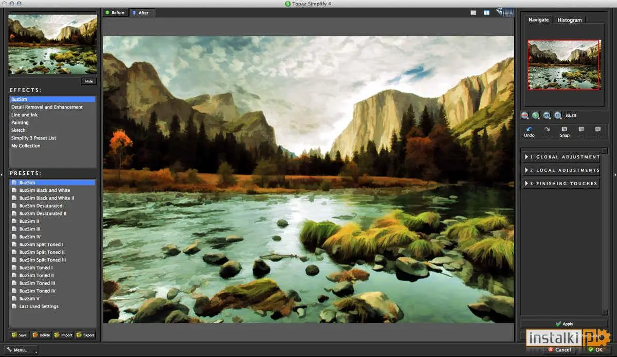 Topaz Simplify