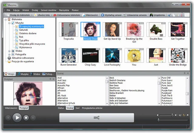Mezzmo 3 Okno programu