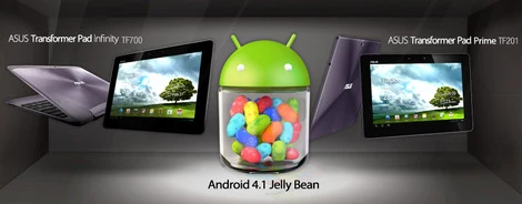 Tablety ASUSa zaktualizowane do Androida 4.1 Jeally Bean