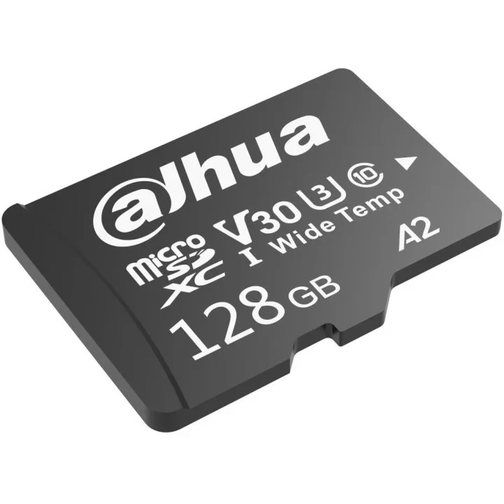Dahua W100