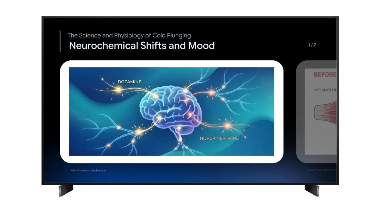 Przewodniki edukacyjne w Google TV.