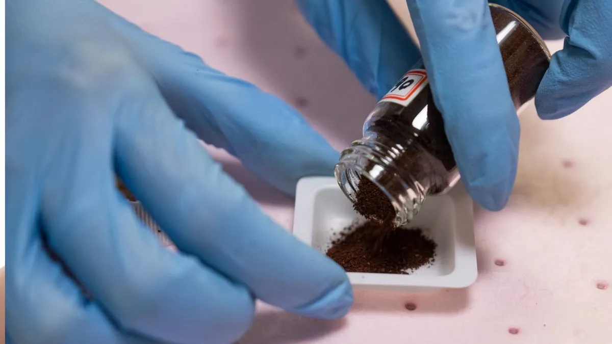 Naukowcy stworzyli metodę, która zamienia ścieki w czystą energię