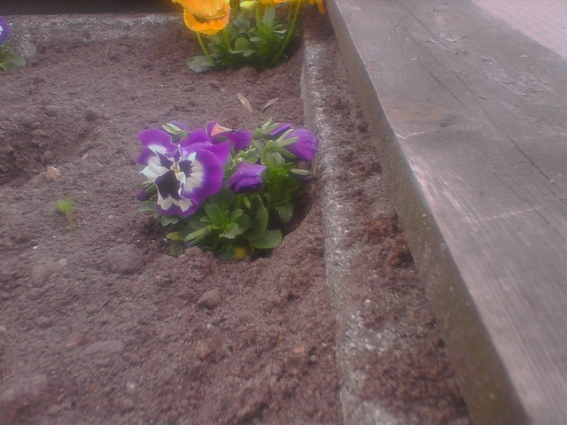 IMG 20140401 112849 K