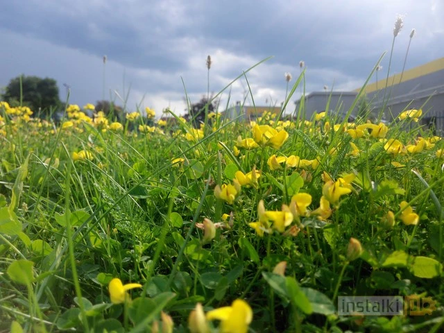 IMG 20140810 164213 Kopiowanie