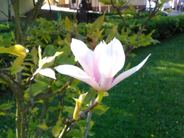 IMG 20150507 092312 K