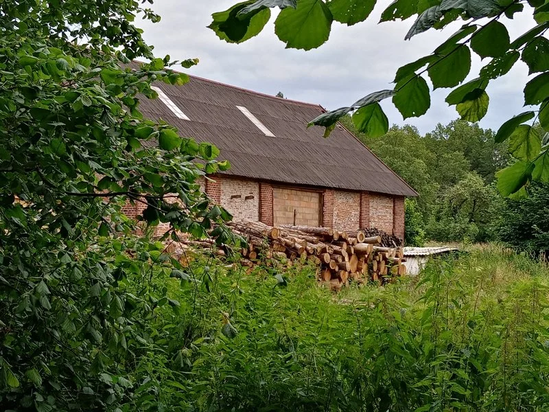 IMG 20200712 182603 mini