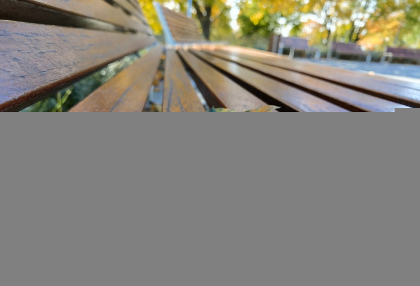 IMG 20201022 134833 mini