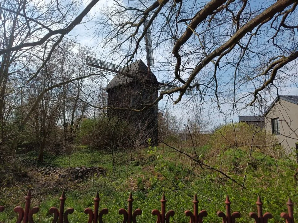 Zdjęcie wykonane smartfonem Unihertz Luna