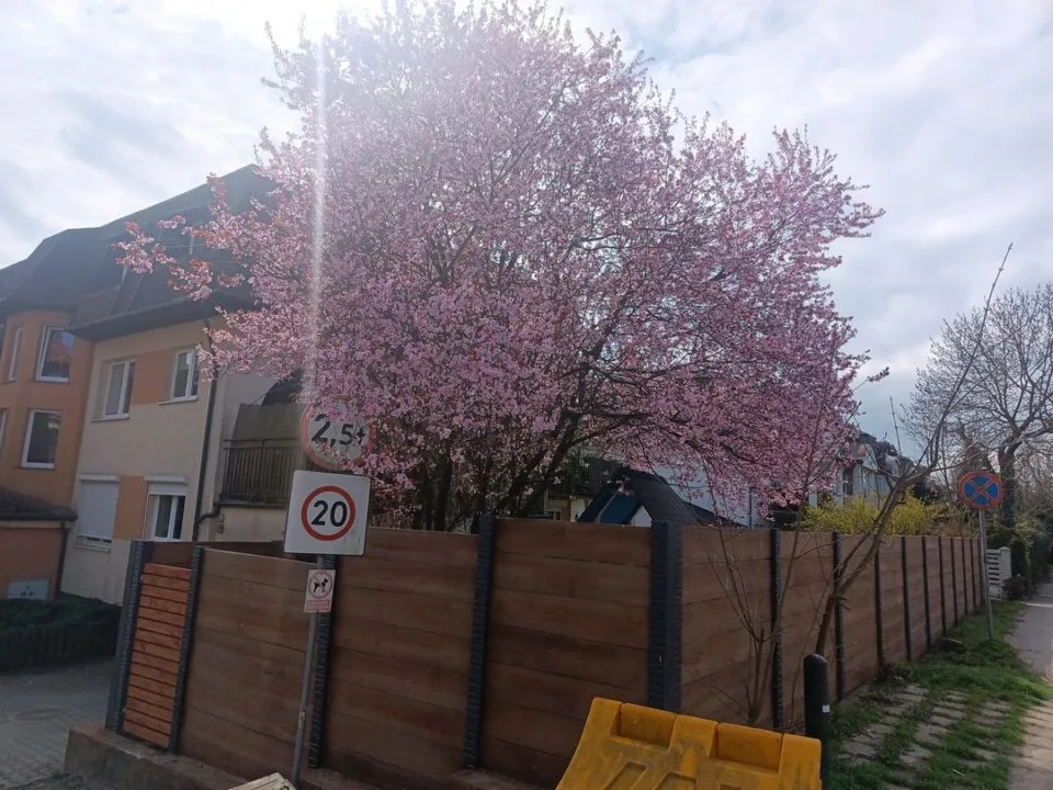 Zdjęcie wykonane smartfonem Unihertz Luna