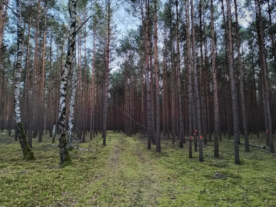 IMG_20230915_185526946_HDR_mini