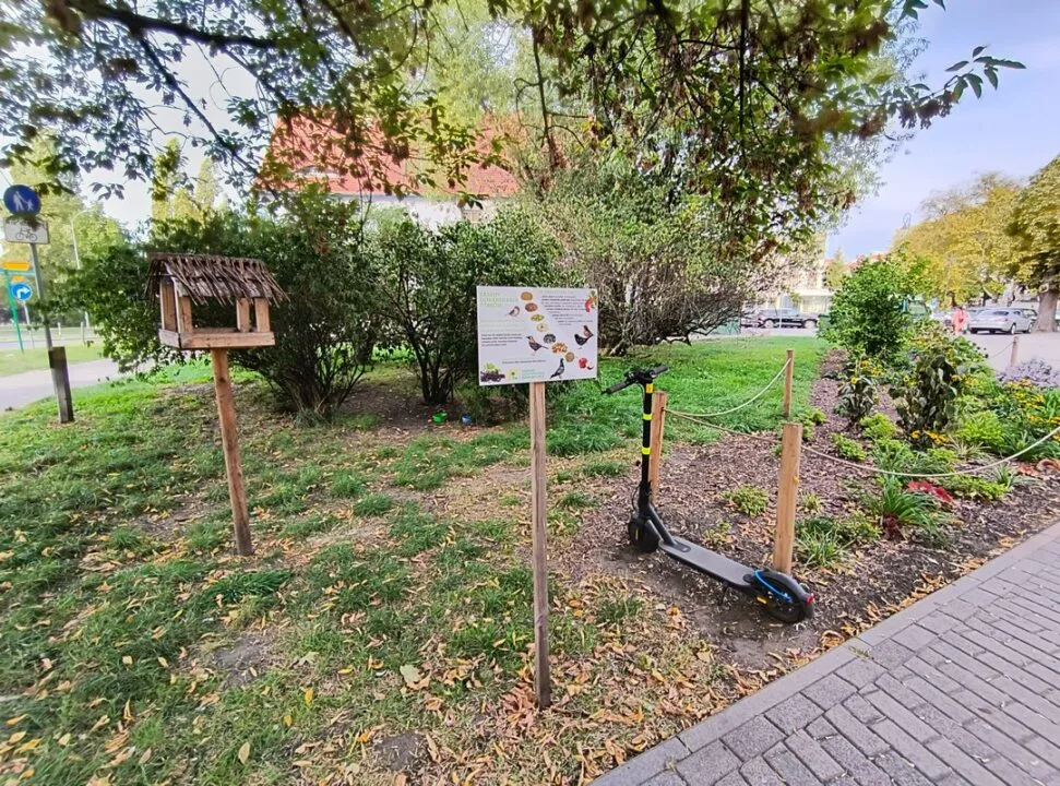 IMG_20231003_165400657_HDR_mini