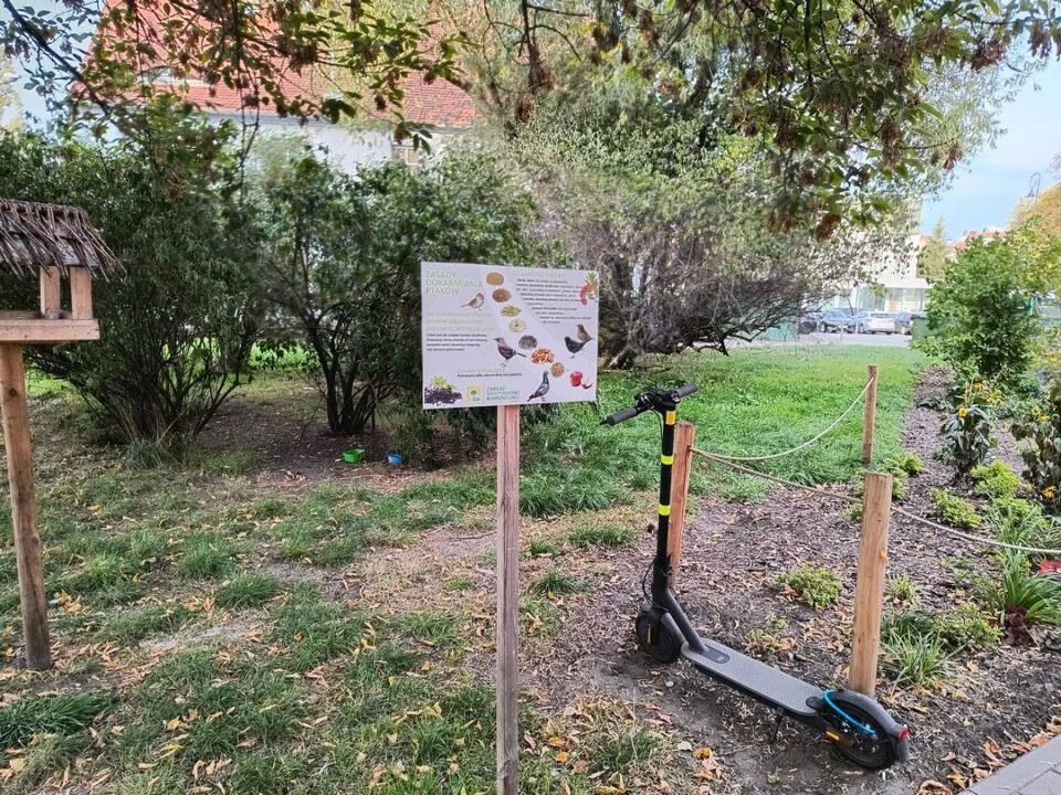 IMG_20231003_165403896_HDR_mini