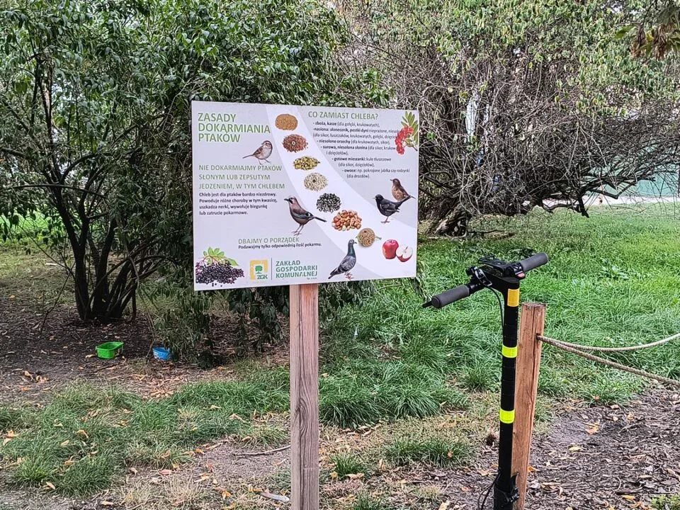 IMG_20231003_165406188_HDR_mini