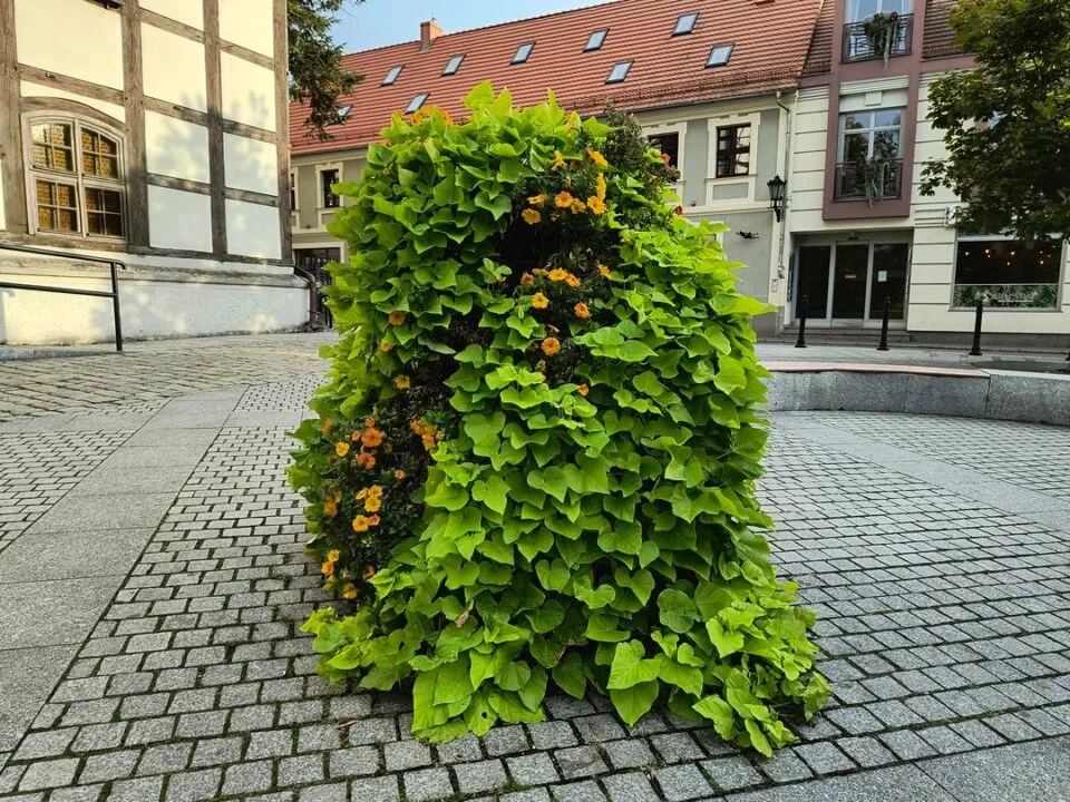 IMG_20231003_165858195_HDR_mini