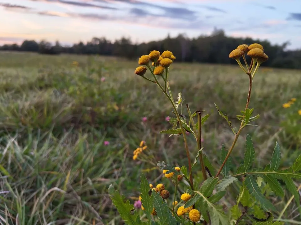 IMG_20231003_181651213