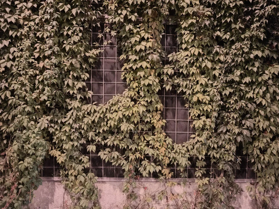 IMG_20231003_192858508-1