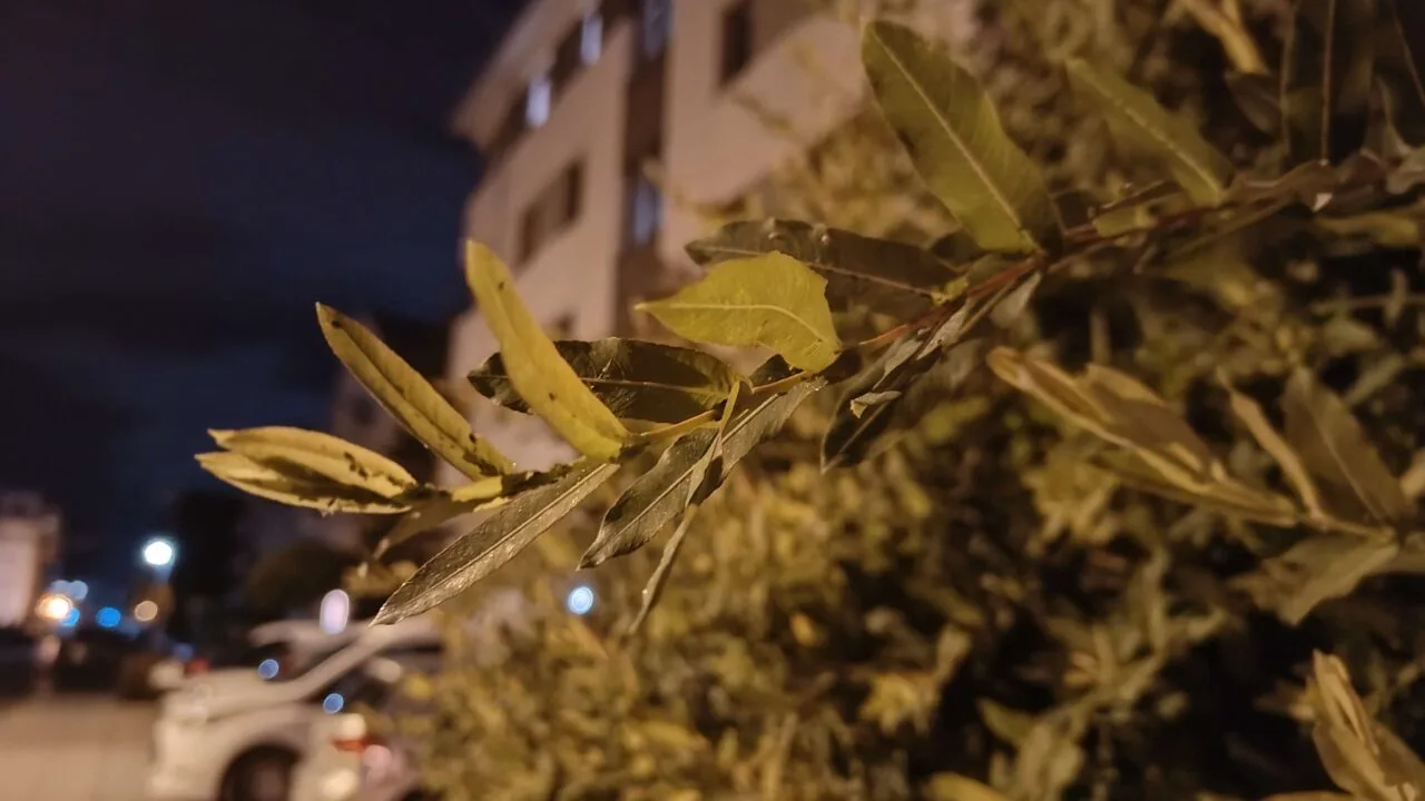 IMG_20231016_002040815