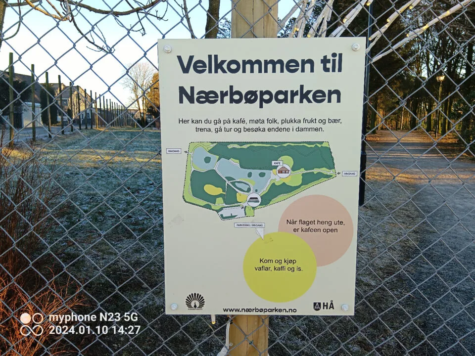 Zdjęcie wykonane za pomocą myPhone N23 5G