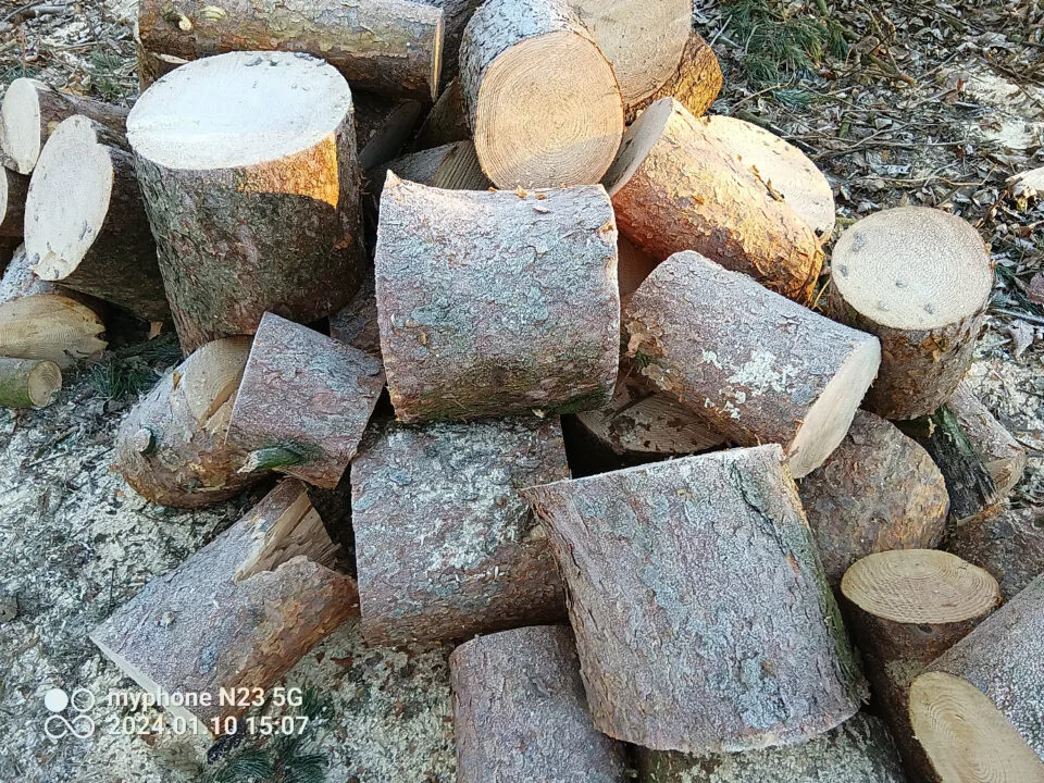 Zdjęcie wykonane za pomocą myPhone N23 5G