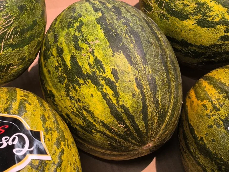 Zdjęcie wykonane za pomocą Redmi Note 13 Pro+ 5G