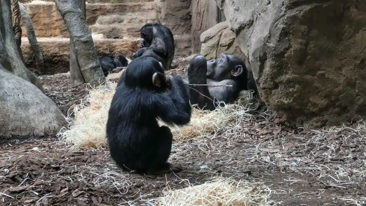 Aparat w Infinix NOTE Edge