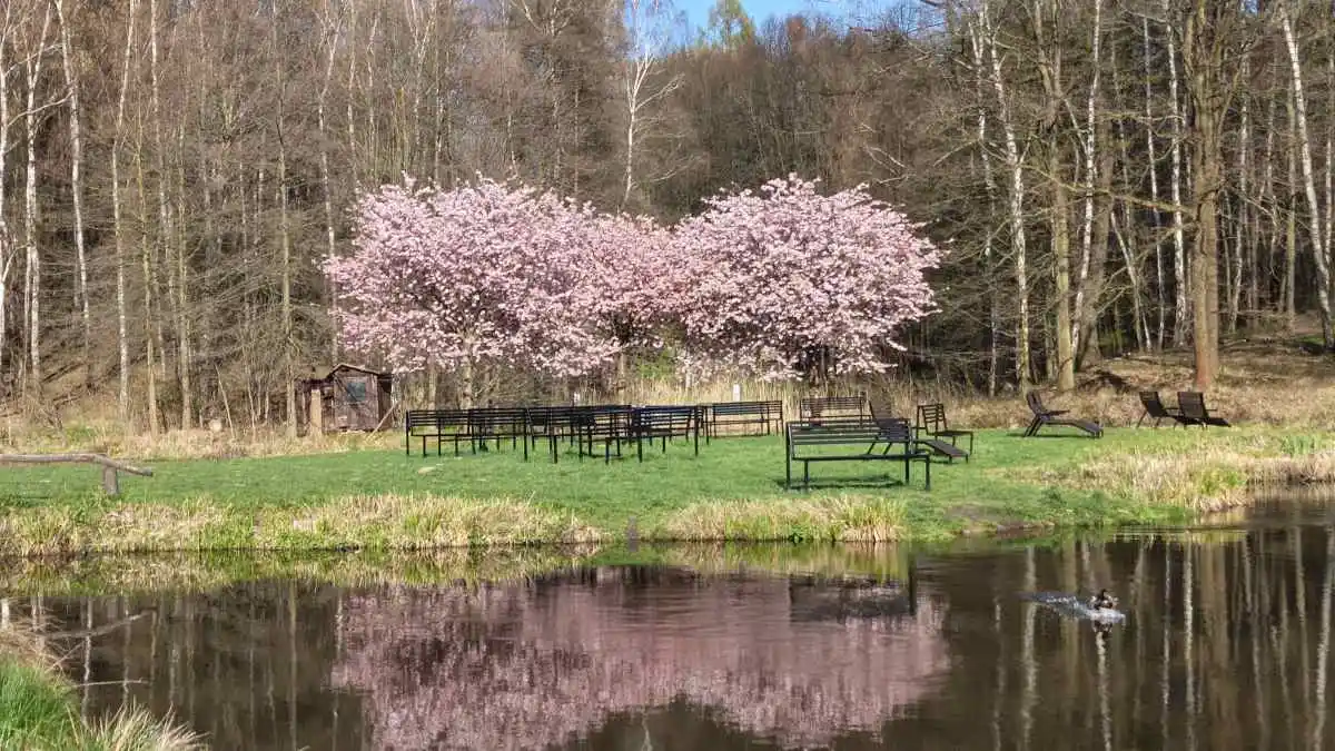 Aparat w Infinix NOTE Edge