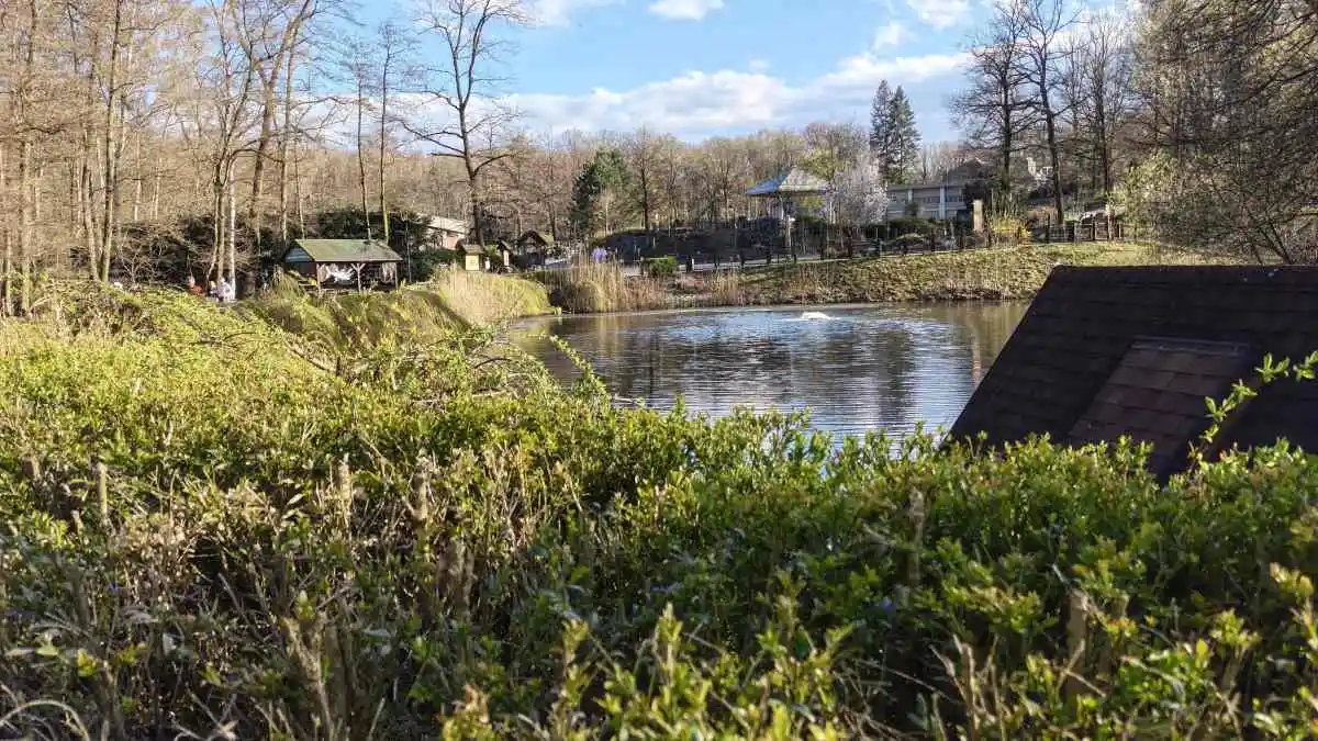 Aparat w Infinix NOTE Edge