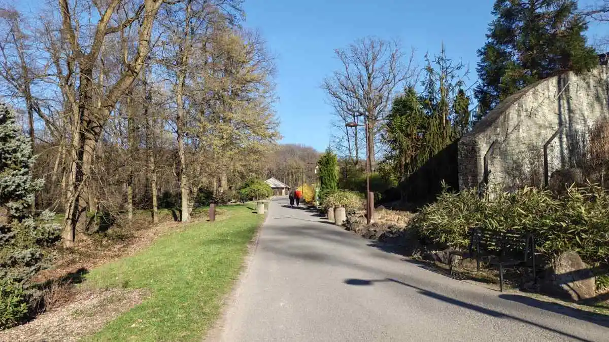 Aparat w Infinix NOTE Edge