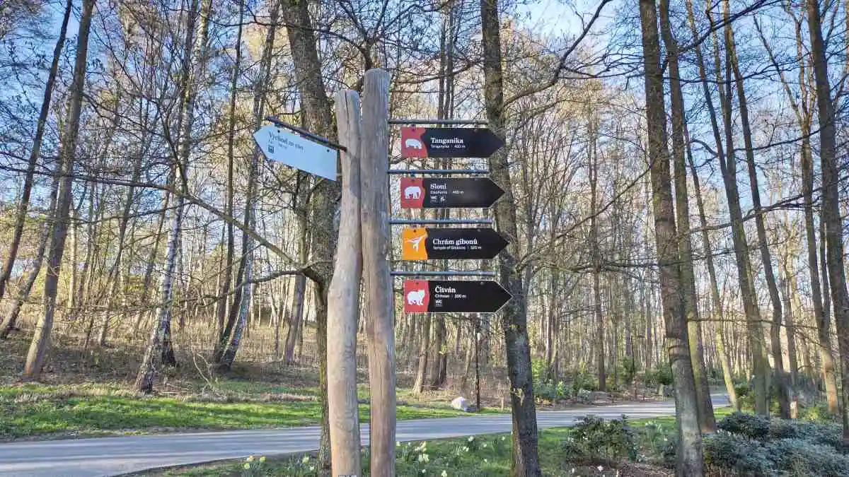 Aparat w Infinix NOTE Edge