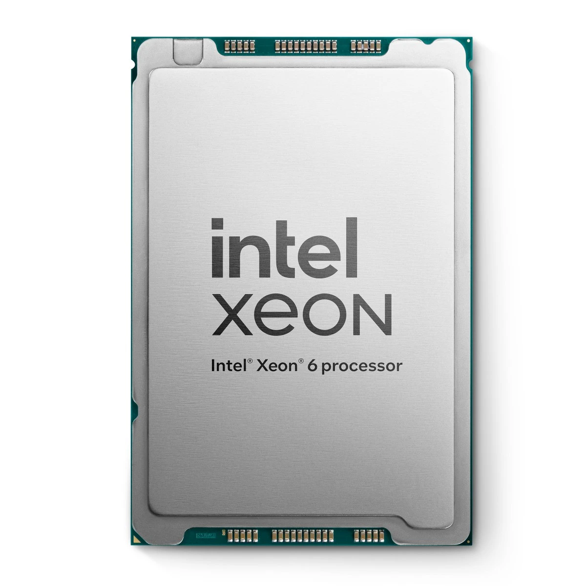 Intel Xeon 6 P-core