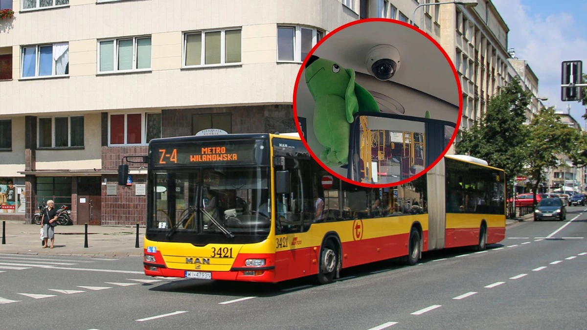 Kara za pluszowego jamnika. Warszawski ZTM w ogniu krytyki