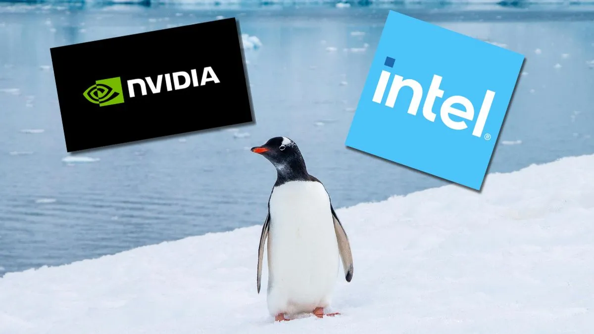 Nawet milion złotych za pracę przy Linuksie. Intel i NVIDIA szukają speców