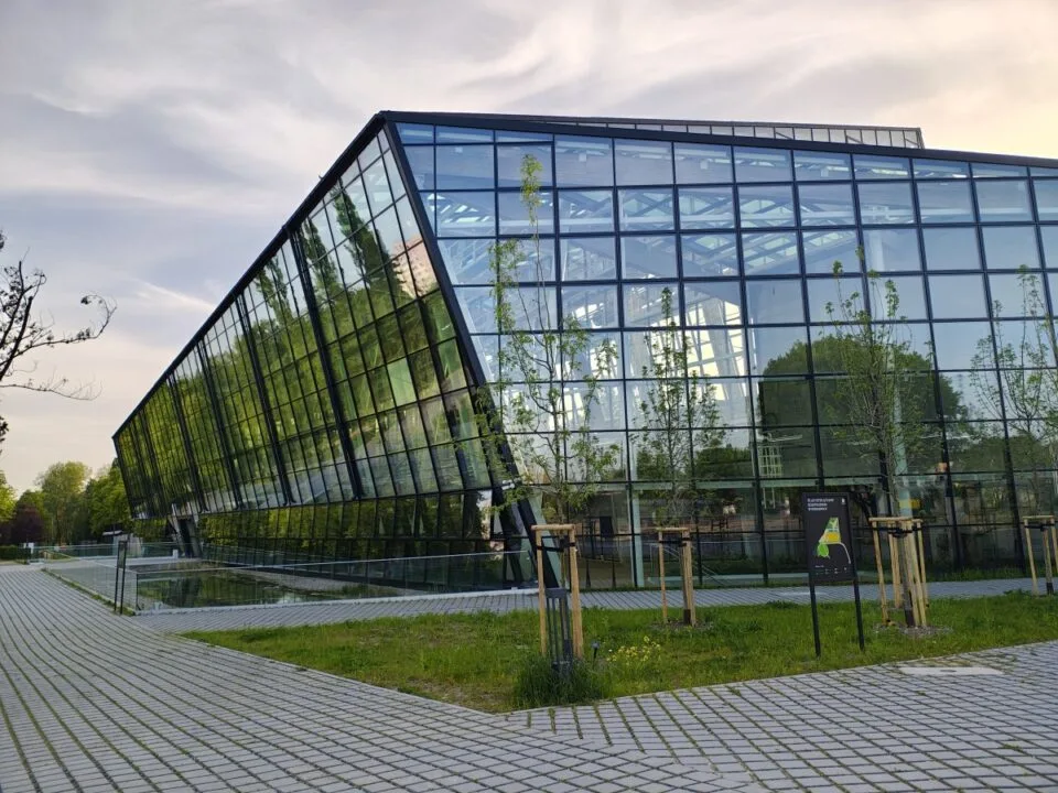 Aparat główny - zdjęcia dzienne