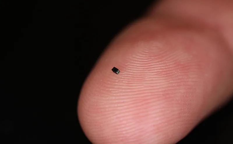 Zobaczcie działającą kamerę wielkości ziarnka piastku