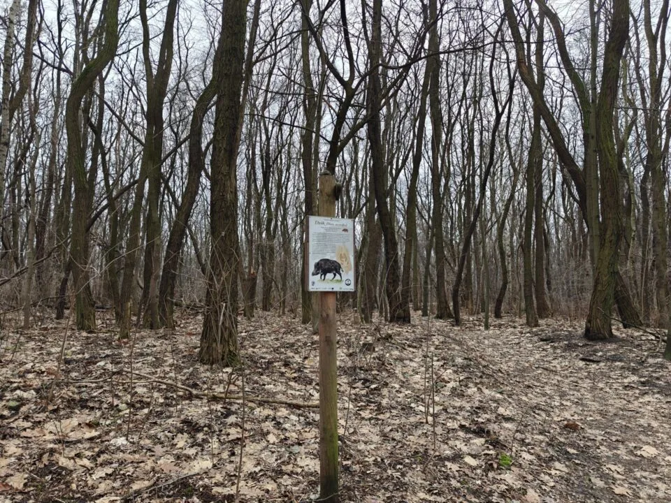 OnePlus 12 aparat sample (1)