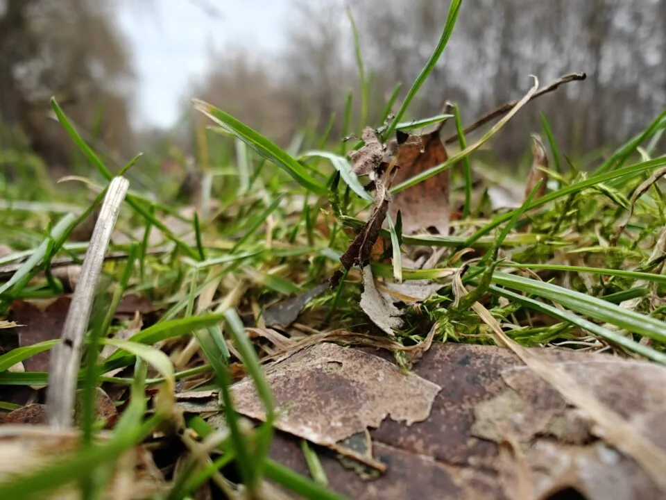 OnePlus 12 aparat sample (10)